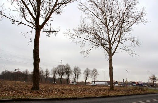 Tereny inwestycyjne przy ulicy Kołobrzeskiej