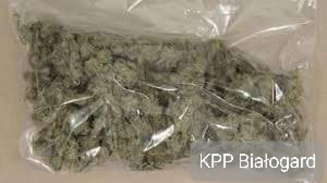 Znaczna ilość narkotyków w Białogardzie