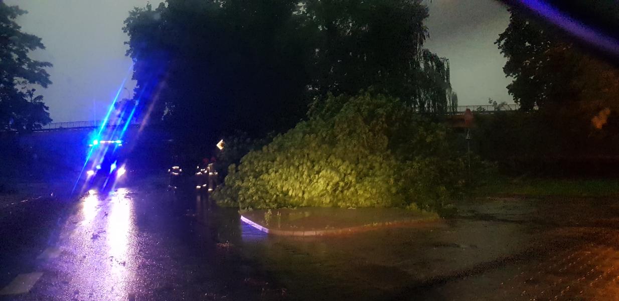 Dziesiątki powalonych drzew i zalane ulice! Strażacy walczą ze skutkami nawałnicy.