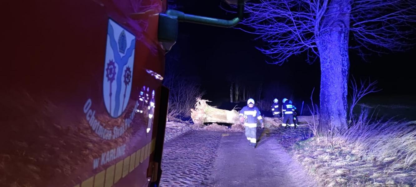 Strażacy mieli ręce pełne roboty