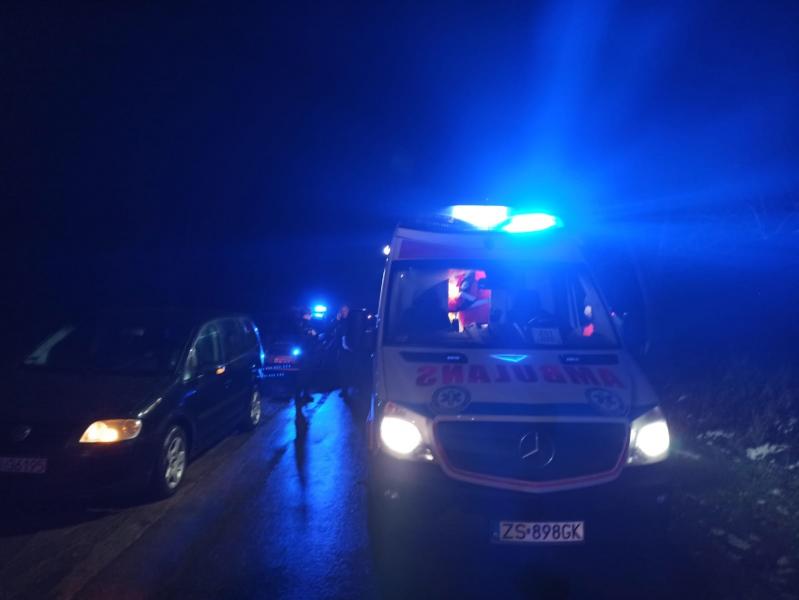 Zderzenie samochodu osobowego z jeleniem 