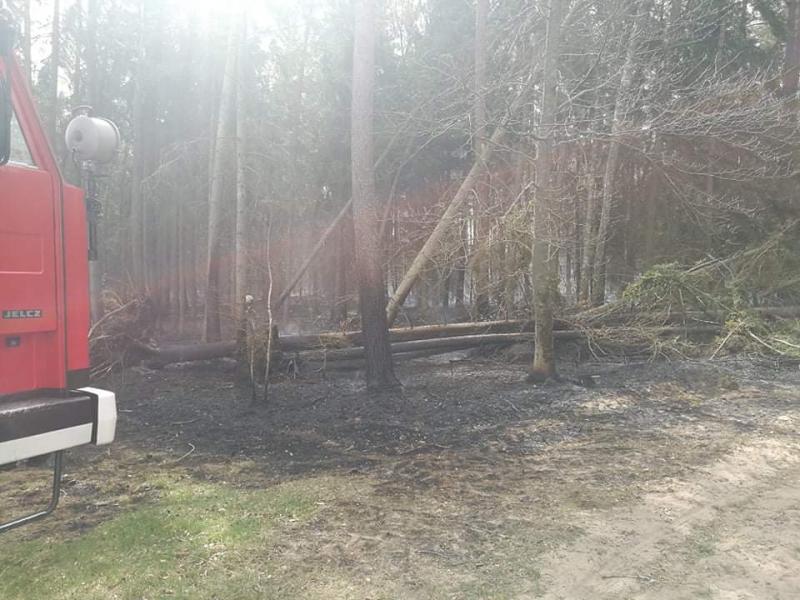 Seria ogromnych pożarów w powiecie białogardzkim  - dziesiątki strażaków walczy z żywiołem!  