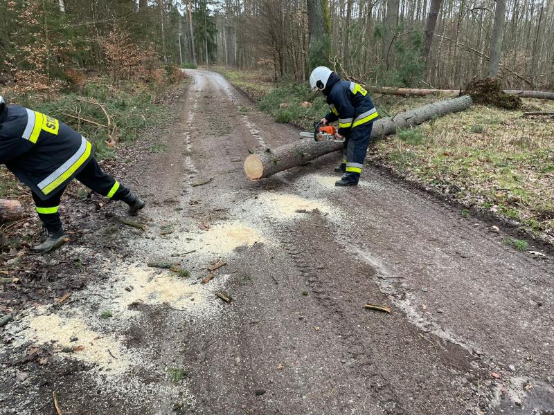 Skutki Orkanu Eunice