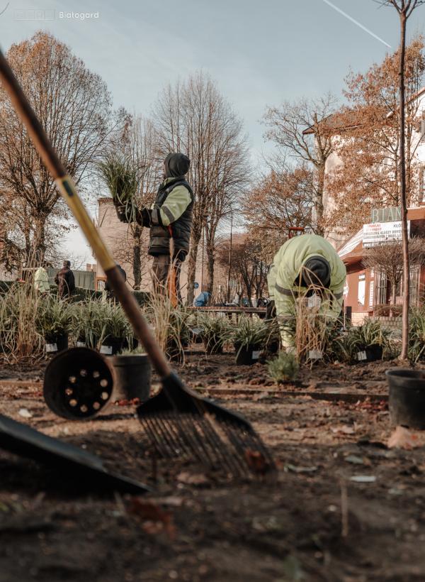 Upiększenie  skweru na ul. 1 Maja