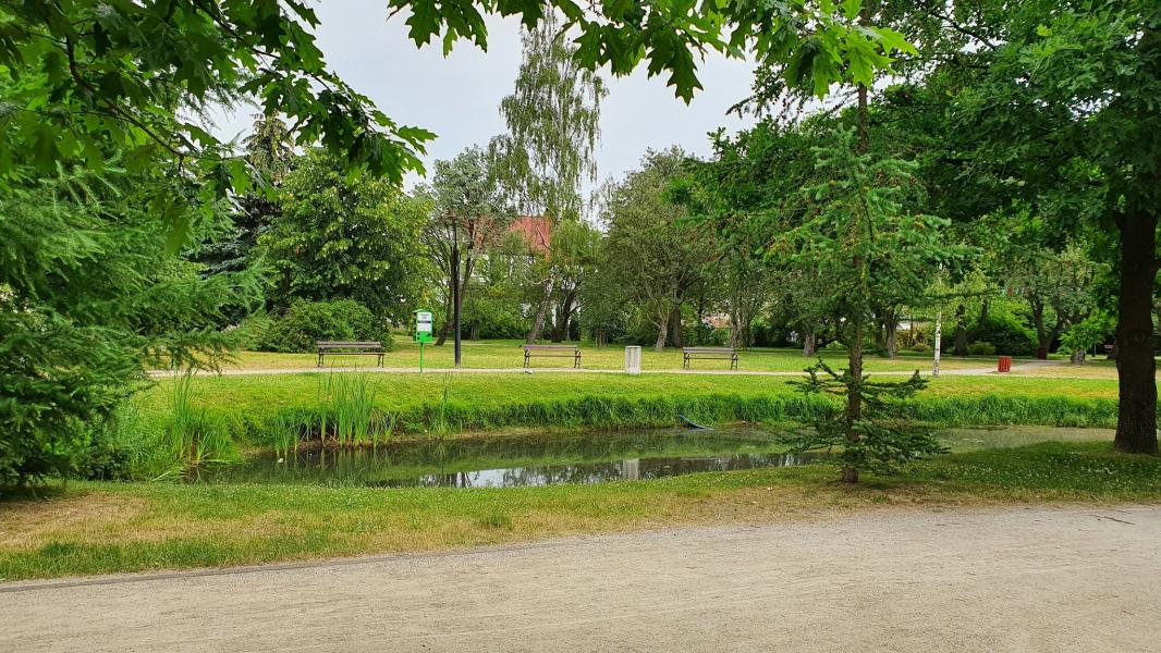 Modernizacja stawów w Parku Orła Białego