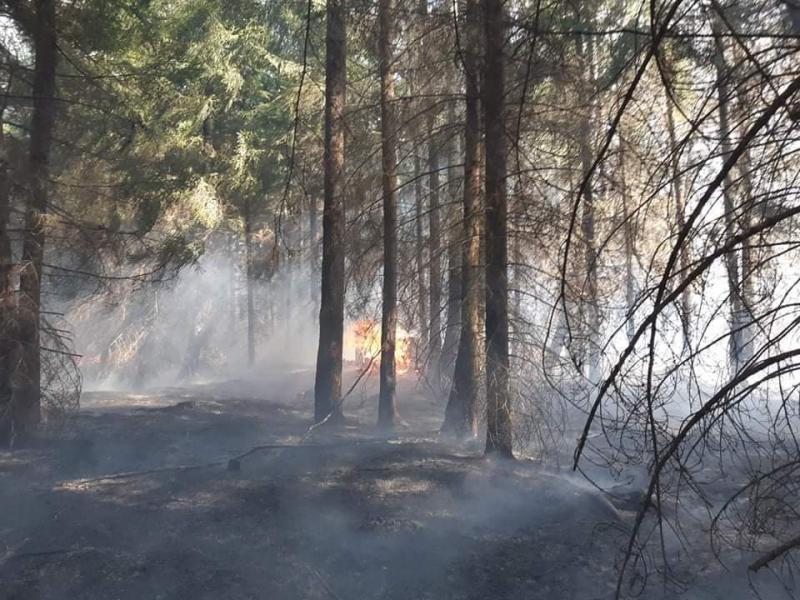 Seria ogromnych pożarów w powiecie białogardzkim  - dziesiątki strażaków walczy z żywiołem!  