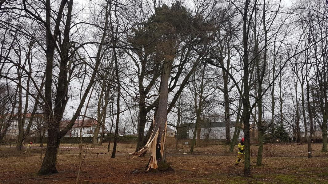 Skutki Orkanu Eunice