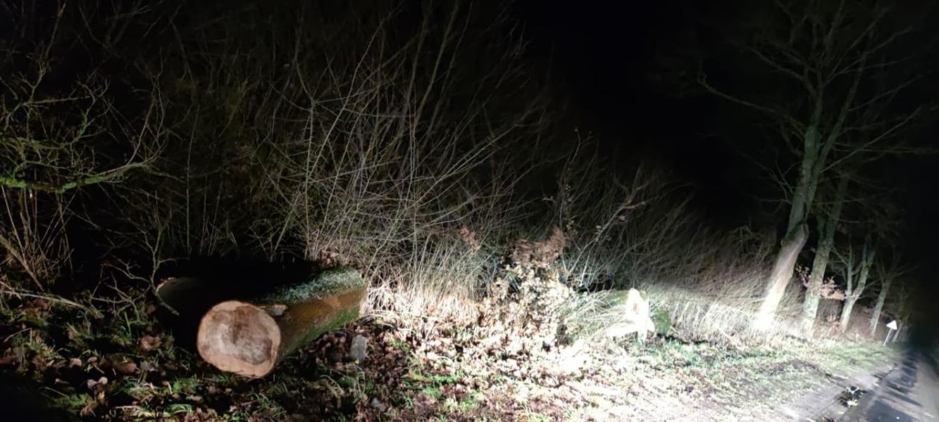 Strażacy mieli ręce pełne roboty