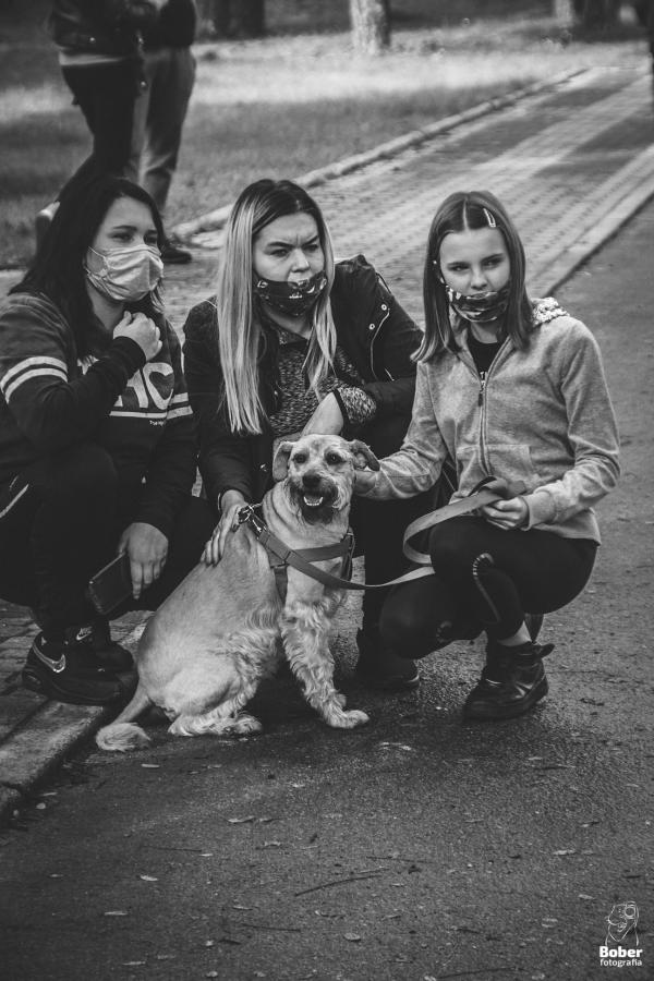 Marszobieg z Psem w Białogardzkim Schronisku SOS