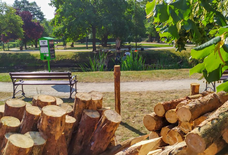 Rozpoczęła się modernizacja stawów w Parku Orła Białego