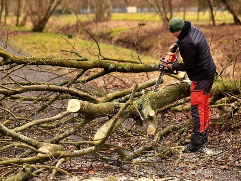 Skutki Orkanu Eunice