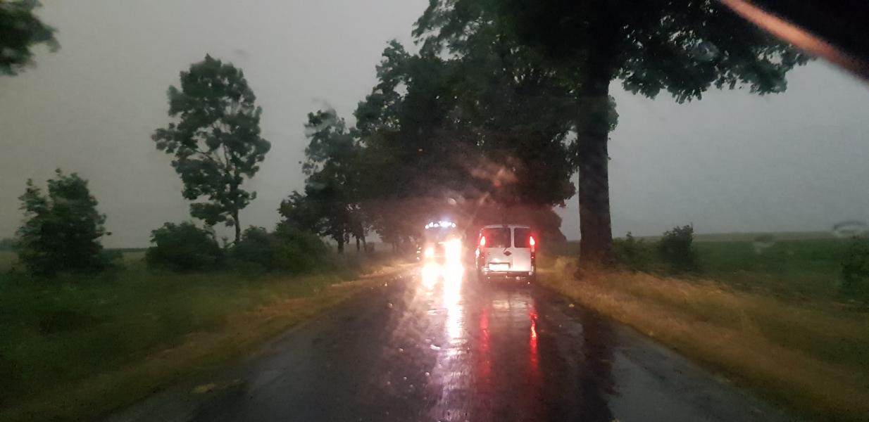 Dziesiątki powalonych drzew i zalane ulice! Strażacy walczą ze skutkami nawałnicy.