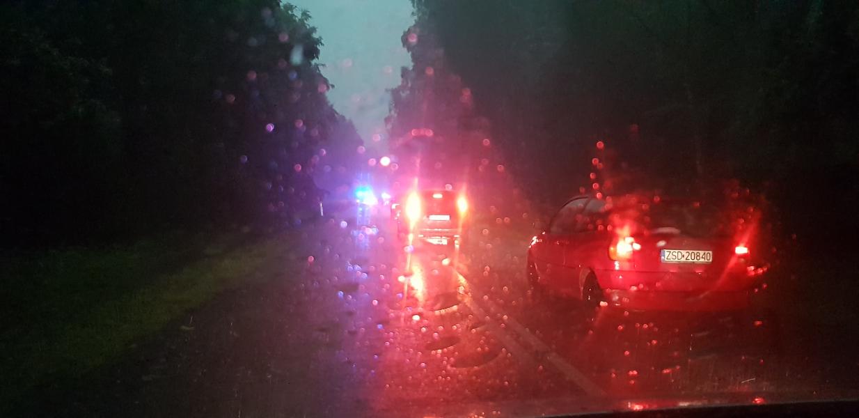 Dziesiątki powalonych drzew i zalane ulice! Strażacy walczą ze skutkami nawałnicy.