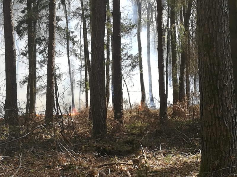 Seria ogromnych pożarów w powiecie białogardzkim  - dziesiątki strażaków walczy z żywiołem!  