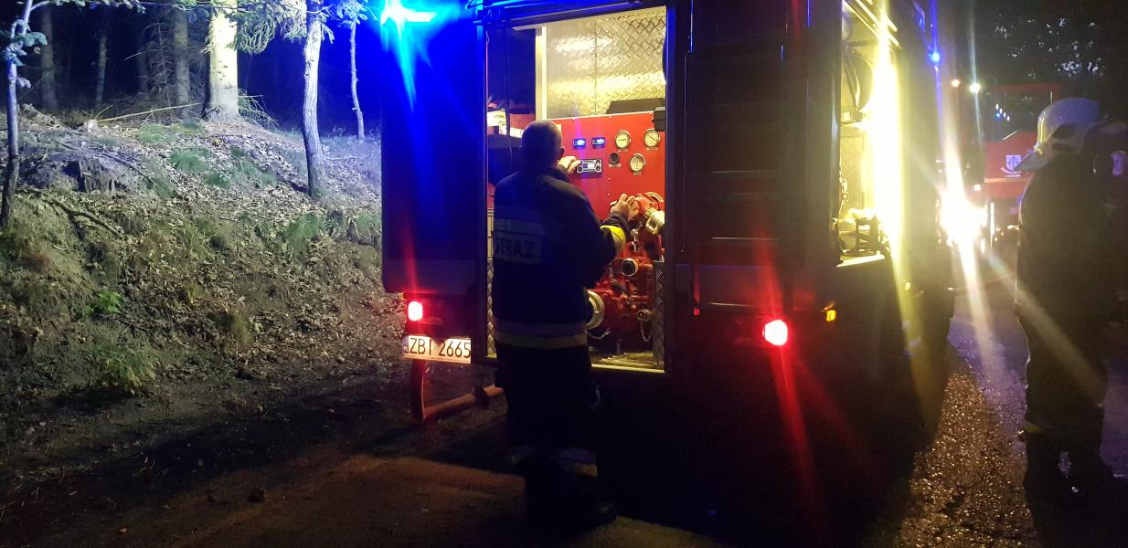 Pożar lasu przy drodze Karwin - Domacyno. W akcji trzy zastępy straży pożarnej. 