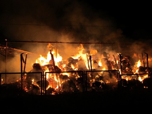 Pożar w Pomianowie - ZDJĘCIA 