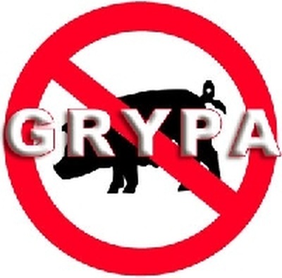 ŚWIŃSKA GRYPA w BIAŁOGARDZIE 