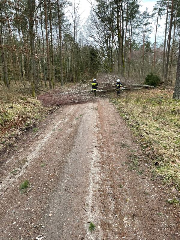 Skutki Orkanu Eunice