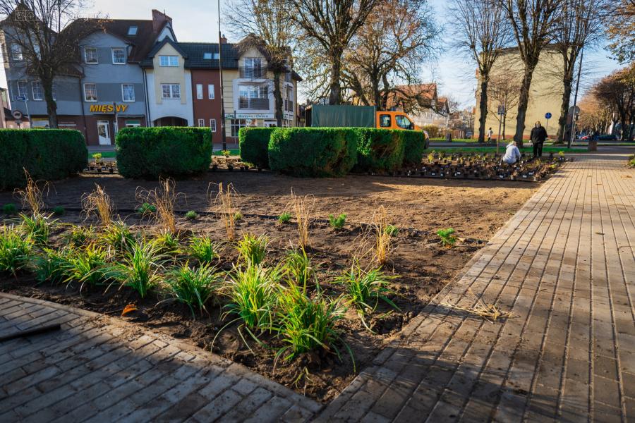 Upiększenie  skweru na ul. 1 Maja