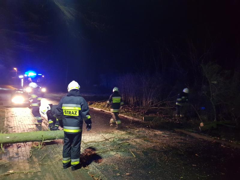 Silne porywy wiatru sieją spustoszenie w powiecie białogardzkim. 