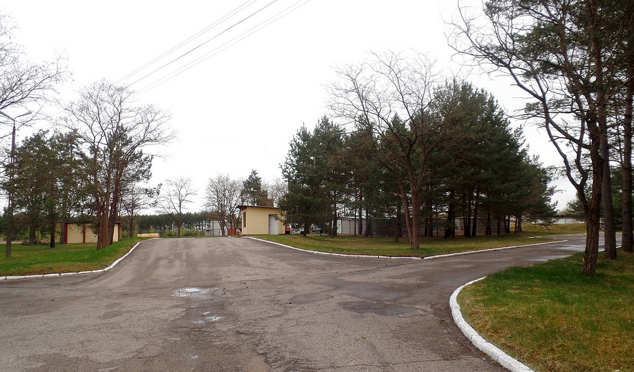 Schronisko dla bezdomnych zwierząt. Konkurs na nazwę