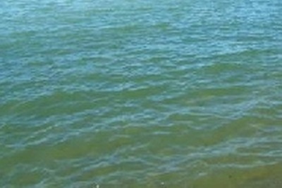 Uwaga na kąpielisko w Byszynie !