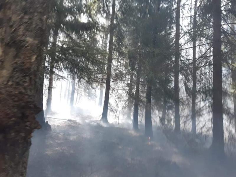 Seria ogromnych pożarów w powiecie białogardzkim  - dziesiątki strażaków walczy z żywiołem!  