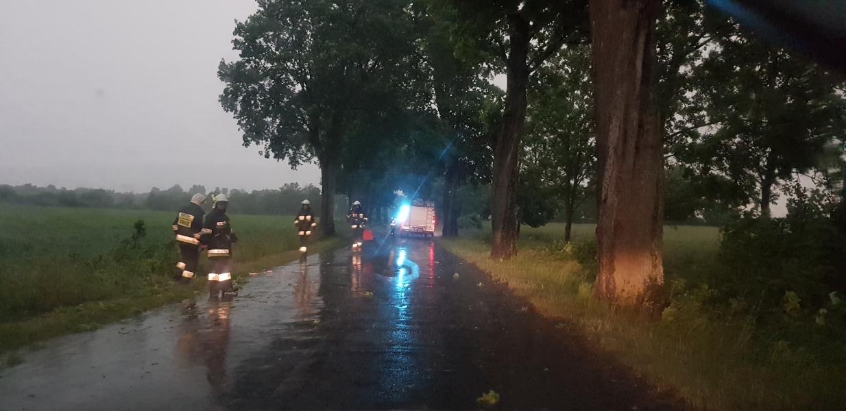 Dziesiątki powalonych drzew i zalane ulice! Strażacy walczą ze skutkami nawałnicy.