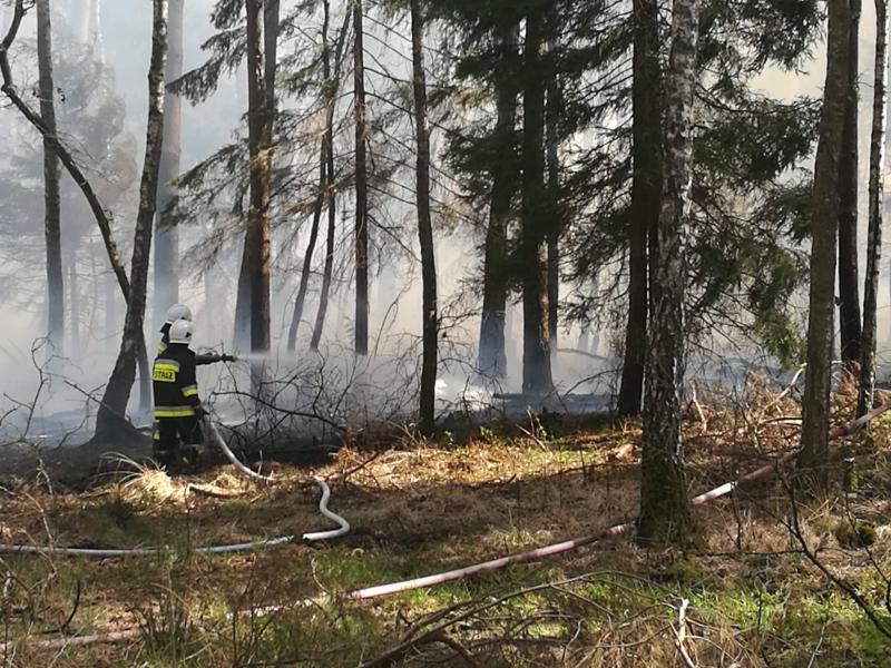 Seria ogromnych pożarów w powiecie białogardzkim  - dziesiątki strażaków walczy z żywiołem!  
