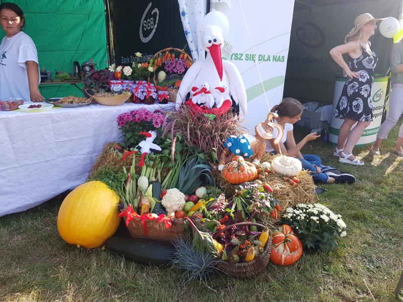 Dożynki gminne  - Stanomino 2019 ZDJĘCIA 