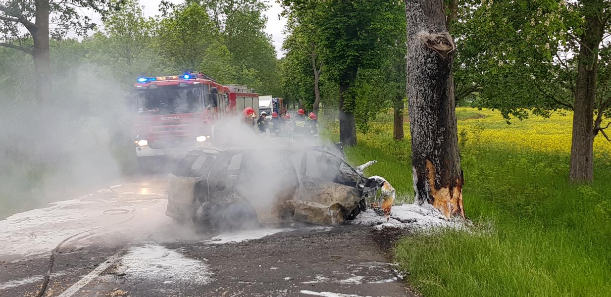 Tragiczny wypadek pod Tychowem! Kierowca spłonął po czołowym uderzeniu w drzewo.