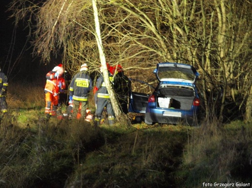 WV Golf zjechał z drogi. 