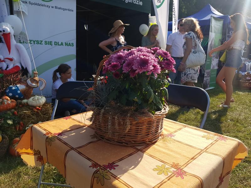 Dożynki gminne  - Stanomino 2019 ZDJĘCIA 