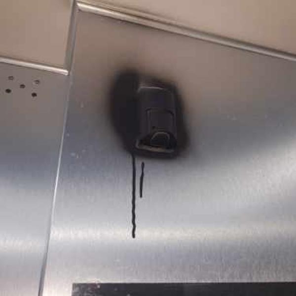 Kolejny akt wandalizmu w Białogardzie