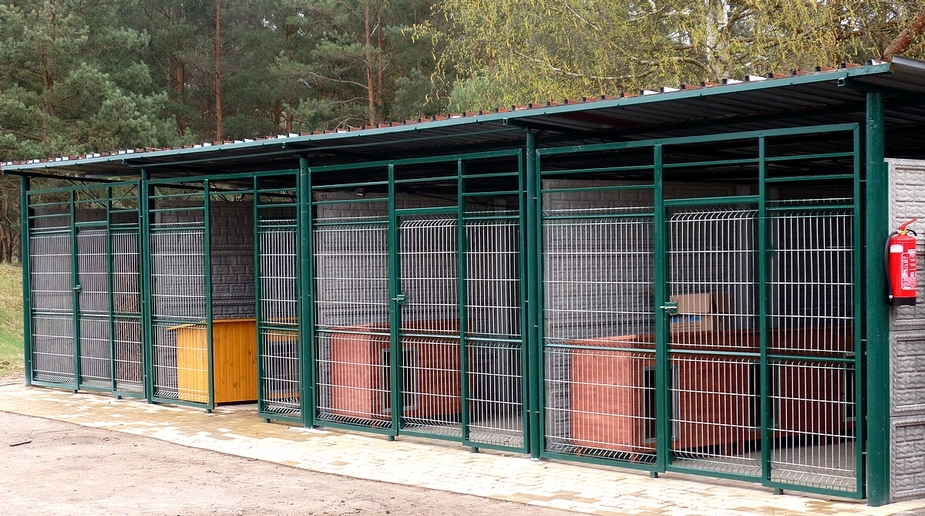 Schronisko dla bezdomnych zwierząt. Konkurs na nazwę