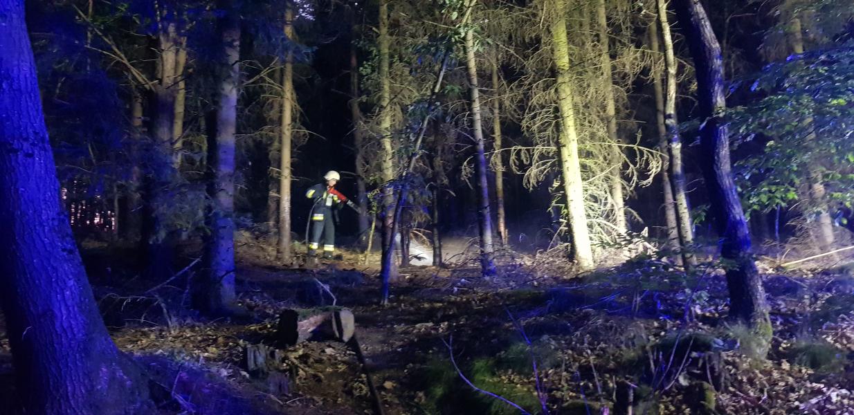 Pożar lasu przy drodze Karwin - Domacyno. W akcji trzy zastępy straży pożarnej. 
