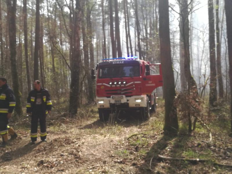 Seria ogromnych pożarów w powiecie białogardzkim  - dziesiątki strażaków walczy z żywiołem!  