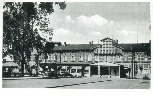 Rewitalizacja zielonych terenów ruszyła.