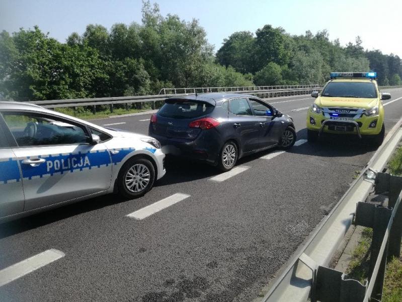 PORANNA ESKORTA ŁABĘDZIEJ RODZINY ZAKOŃCZONA SUKCESEM ZDJĘCIA I FILM