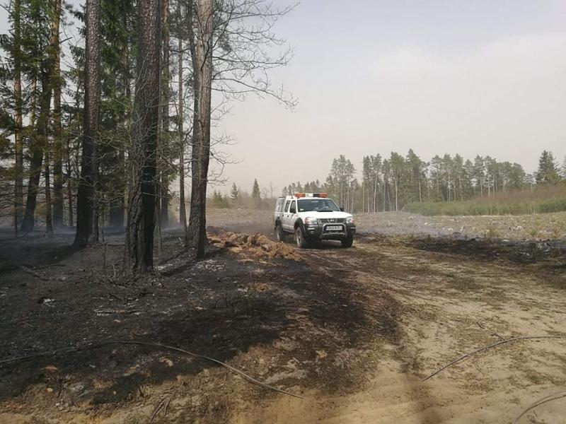 Seria ogromnych pożarów w powiecie białogardzkim  - dziesiątki strażaków walczy z żywiołem!  