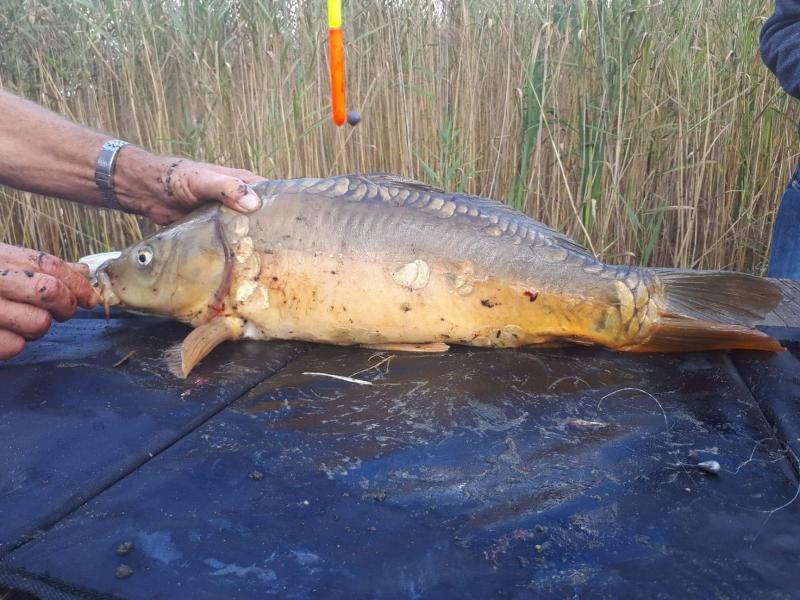 1 wędkarskie zawody integracyjne dla osób niepełnosprawnych za nami - zapraszamy do galerii 