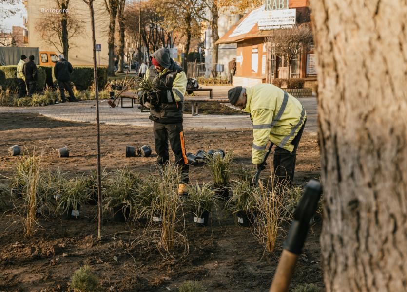 Upiększenie  skweru na ul. 1 Maja