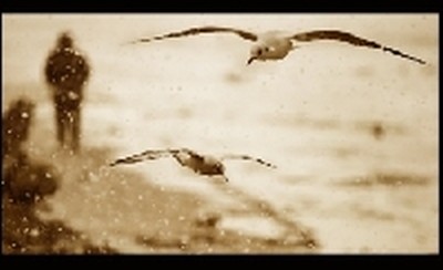 Wystawa prac Białogardzkich Fotografików 