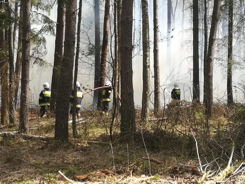 Seria ogromnych pożarów w powiecie białogardzkim  - dziesiątki strażaków walczy z żywiołem!  