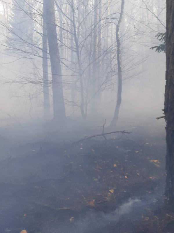 Seria ogromnych pożarów w powiecie białogardzkim  - dziesiątki strażaków walczy z żywiołem!  
