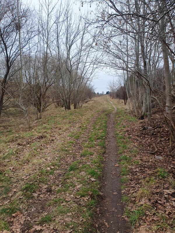 Budowa ścieżki rowerowej w Białogardzie. 