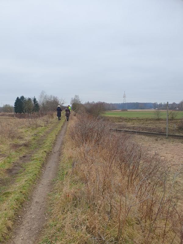 Budowa ścieżki rowerowej w Białogardzie. 