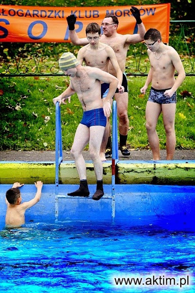 Sezon morsowania otwarty - zdjęcia