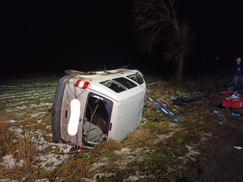 Zderzenie samochodu osobowego z jeleniem 