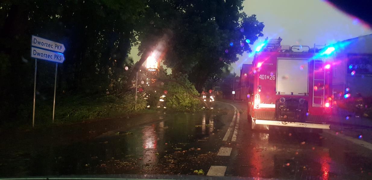 Dziesiątki powalonych drzew i zalane ulice! Strażacy walczą ze skutkami nawałnicy.